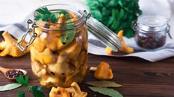 KURKI W ZALEWIE OCTOWEJ