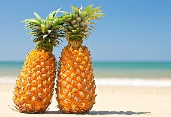 Ile kcal ma ananas? Poznaj wartość kaloryczną tego owocu Ile kcal ma ananas? Poznaj wartość kaloryczną tego owocu