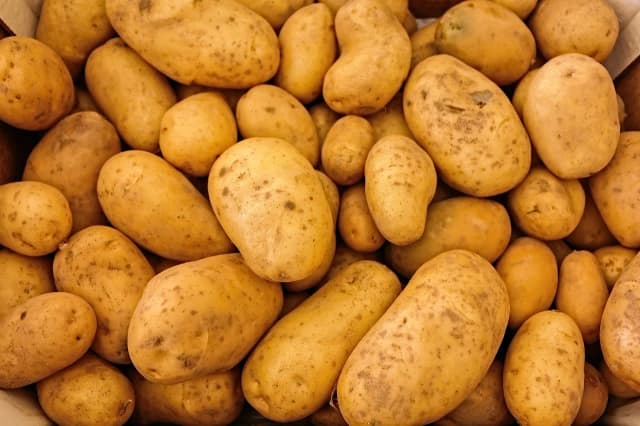 Ile kcal mają ziemniaki? Sprawdź, jak je przygotować niskokalorycznie Ile kcal mają ziemniaki? Sprawdź, jak je przygotować niskokalorycznie