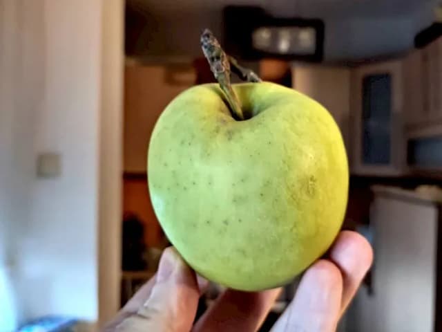 Ile kcal ma jedno jabłko? Sprawdź kaloryczność różnych odmian Ile kcal ma jedno jabłko? Sprawdź kaloryczność różnych odmian