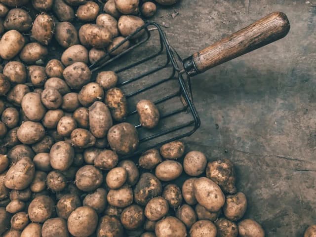 Ile kalorii ma 100 g ziemniaków? Zaskakujące różnice w kaloryczności Ile kalorii ma 100 g ziemniaków? Zaskakujące różnice w kaloryczności