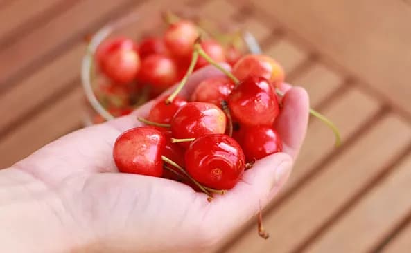 Ile kalorii ma kilogram czereśni? Zaskakujące fakty o ich wartości odżywczej Ile kalorii ma kilogram czereśni? Zaskakujące fakty o ich wartości odżywczej