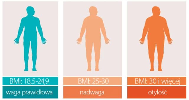 BMI 28 co to znaczy? Sprawdź, jakie niesie zagrożenia zdrowotne BMI 28 co to znaczy? Sprawdź, jakie niesie zagrożenia zdrowotne