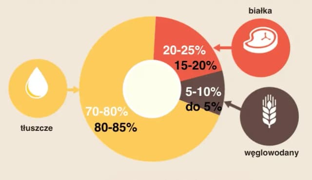 Jakie proporcje makro na redukcji? Osiągnij wymarzoną sylwetkę Jakie proporcje makro na redukcji? Osiągnij wymarzoną sylwetkę