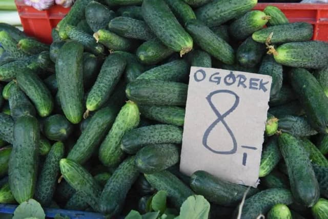 Ile kalorii mają ogórki? Zaskakujące różnice między rodzajami Ile kalorii mają ogórki? Zaskakujące różnice między rodzajami